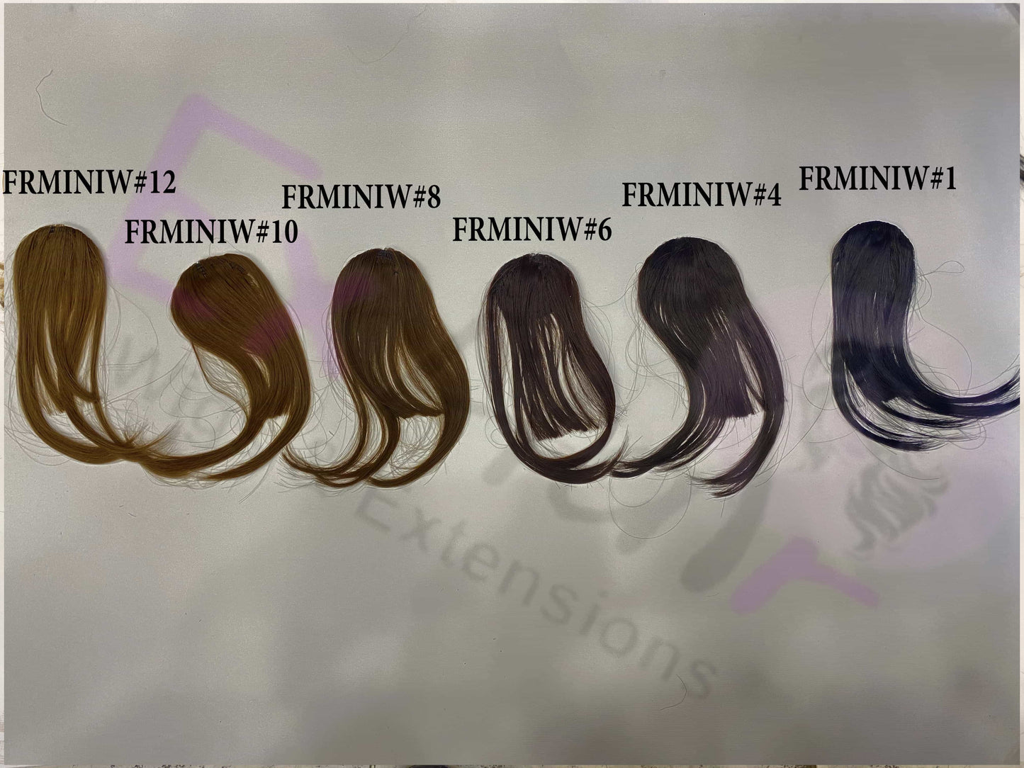 قُصة فرنش ميني